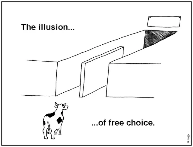 The illusion of free choice
